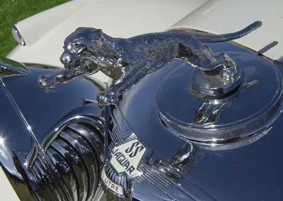 jaguarss