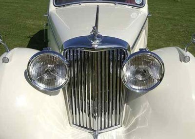 whitefront